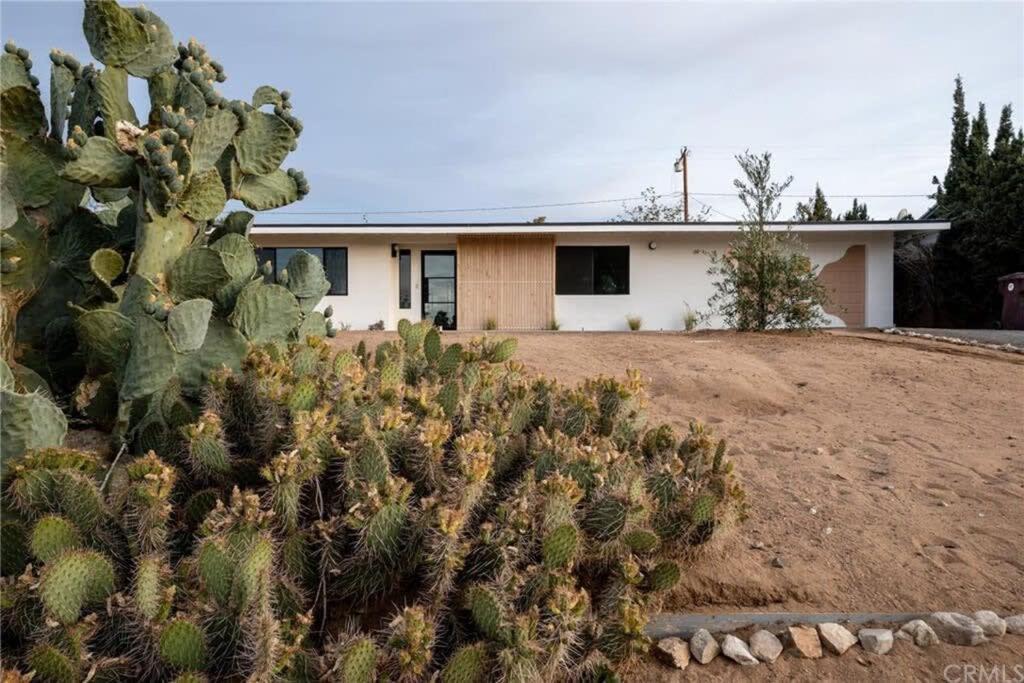 Joshua Tree - Le Tout Petit W Hot Tub Exterior photo